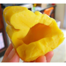 Артокарпус разнолистный ‘Тхонг Прасерт’ (привитый) / Artocarpus heterophyllus 'Thong Prasert' (grafted).