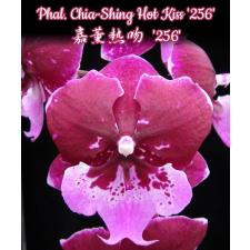 Phal. Chia-Shing Hot Kiss '256' 2.5" B7 June