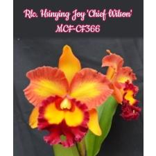 Rlc. Hsinying Joy 'Chief Wilson' 2.5" B5 pr.sent 600p