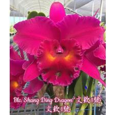 Blc. Shang Ding Dragon 3.5" A4 april