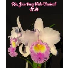 Rlc. Jinn Feng Wish 'Classical' 2.5" A3 april