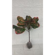 Codiaeum Ploen Chit 154