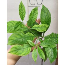 Ротманния Витта / Rothmannia wittii 258